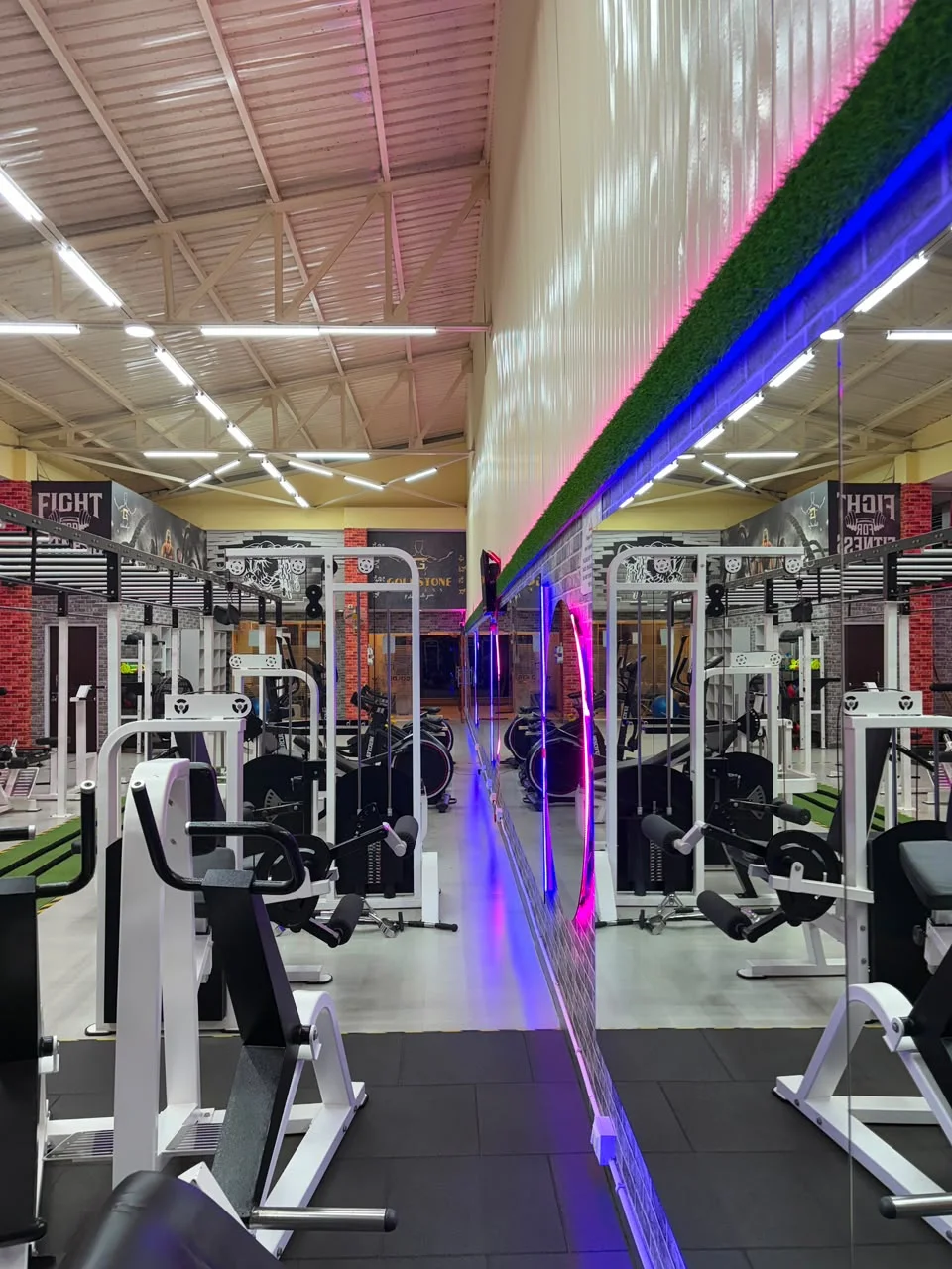 Goldstone Fitness Gym - CrossFit Functional Rig & Turf Workout Area